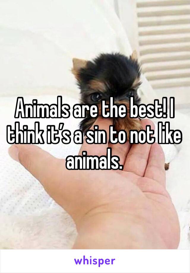 Animals are the best! I think it’s a sin to not like animals. 