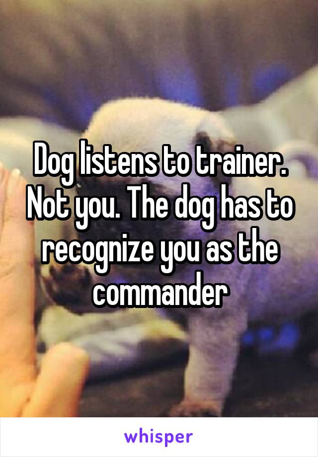 Dog listens to trainer. Not you. The dog has to recognize you as the commander