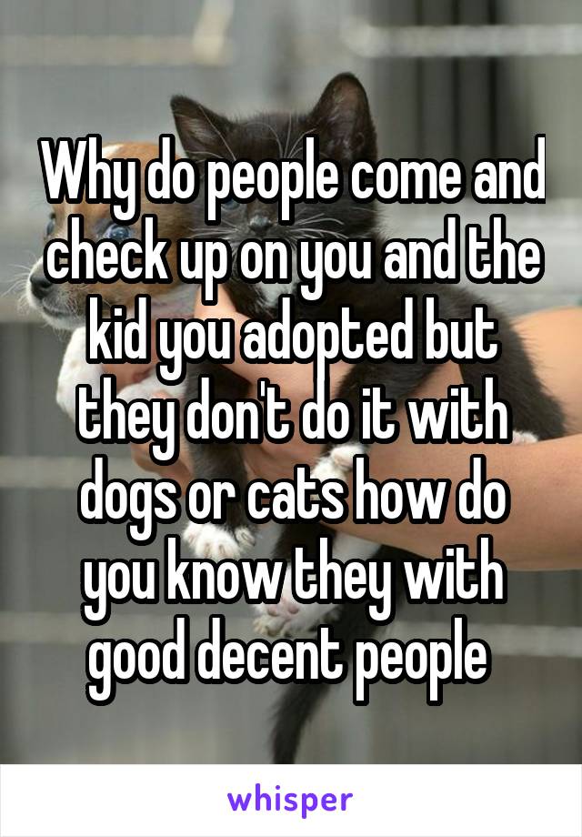Why do people come and check up on you and the kid you adopted but they don't do it with dogs or cats how do you know they with good decent people 