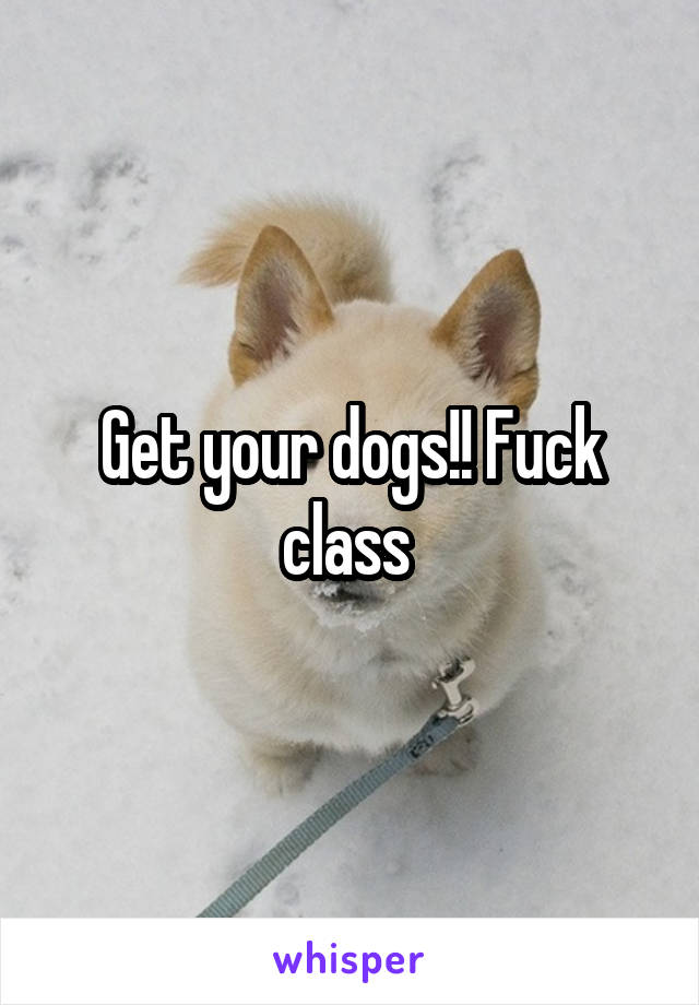 Get your dogs!! Fuck class 