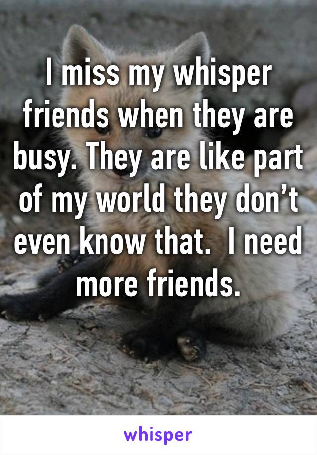I miss my whisper friends when they are busy. They are like part of my world they don’t even know that.  I need more friends. 