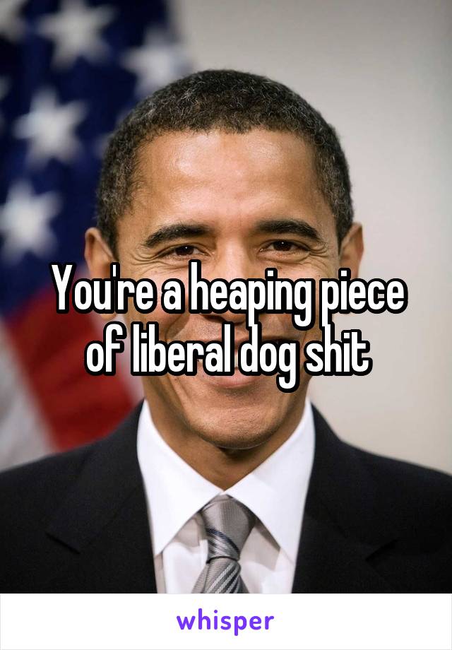 You're a heaping piece of liberal dog shit