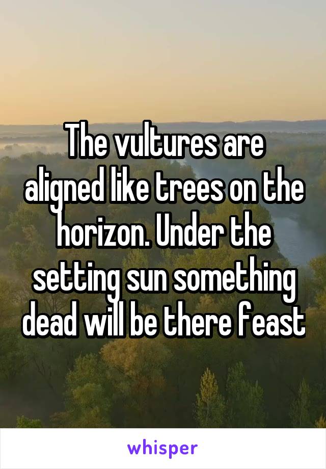 The vultures are aligned like trees on the horizon. Under the setting sun something dead will be there feast