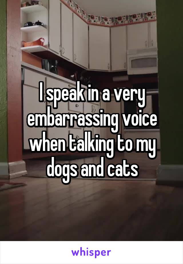 I speak in a very embarrassing voice when talking to my dogs and cats