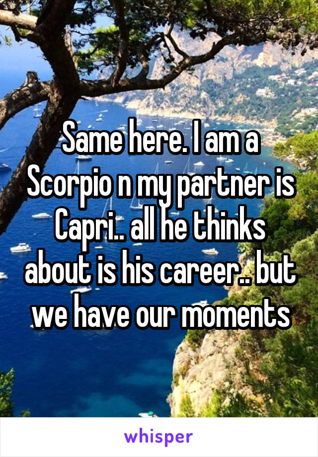 Same here. I am a Scorpio n my partner is Capri.. all he thinks about is his career.. but we have our moments