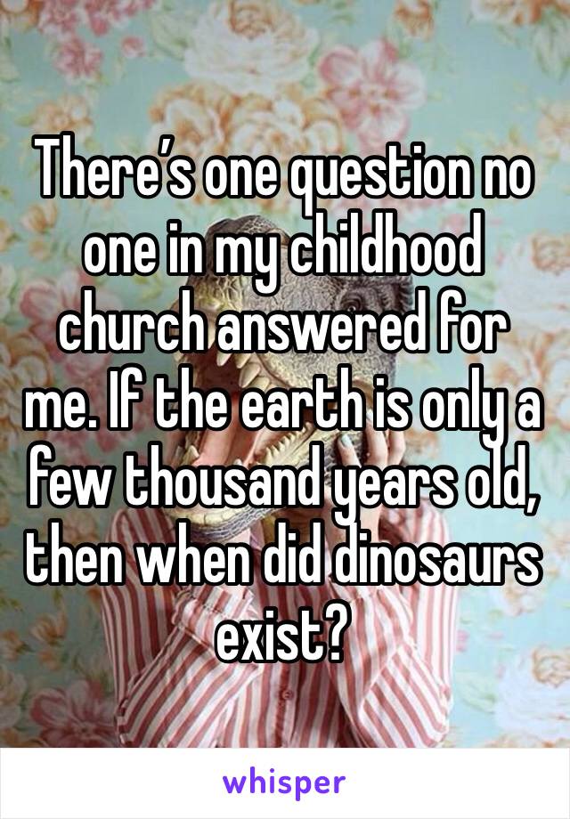 There’s one question no one in my childhood church answered for me. If the earth is only a few thousand years old, then when did dinosaurs exist? 