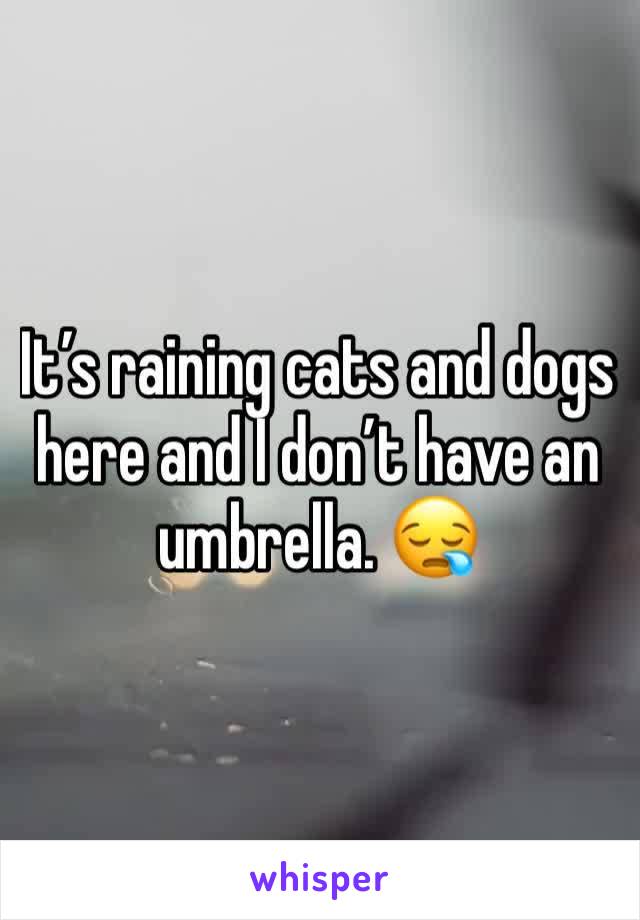It’s raining cats and dogs here and I don’t have an umbrella. 😪