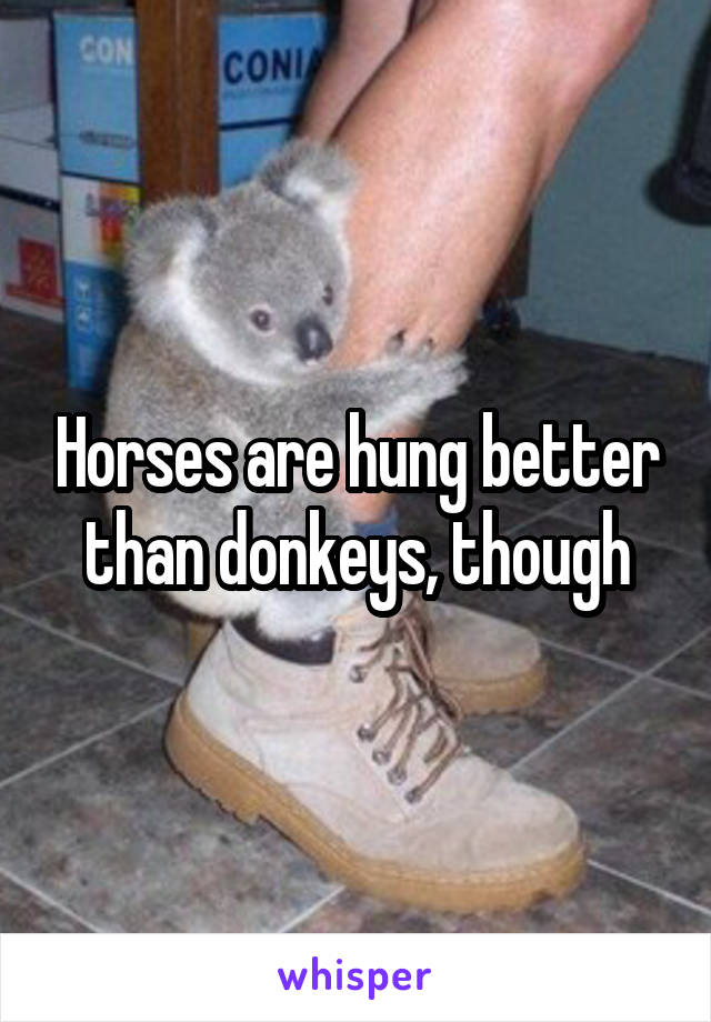 Horses are hung better than donkeys, though