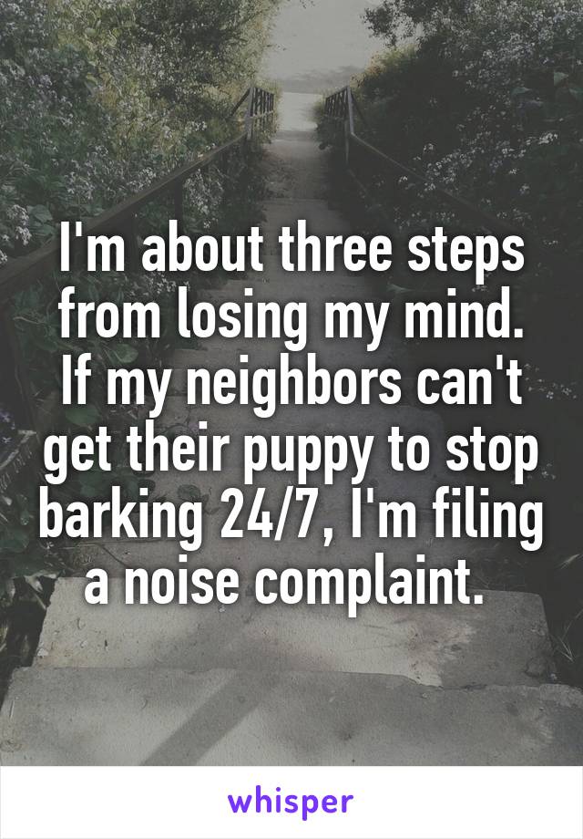 I'm about three steps from losing my mind. If my neighbors can't get their puppy to stop barking 24/7, I'm filing a noise complaint. 