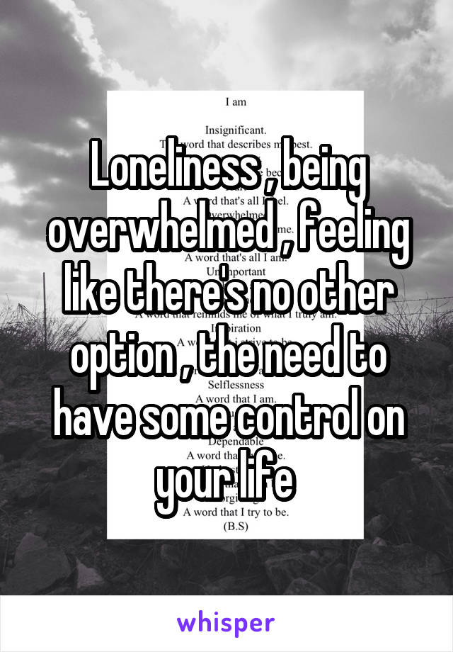 Loneliness , being overwhelmed , feeling like there's no other option , the need to have some control on your life 