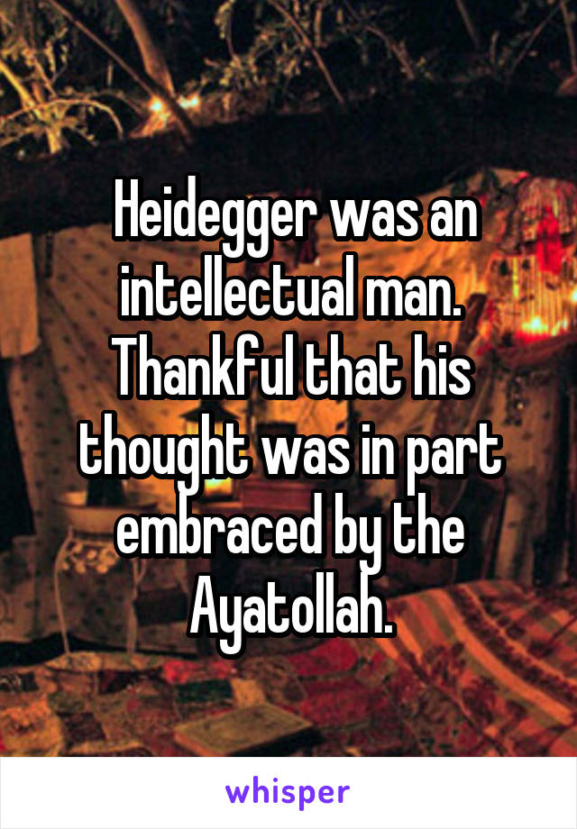  Heidegger was an intellectual man. Thankful that his thought was in part embraced by the Ayatollah.