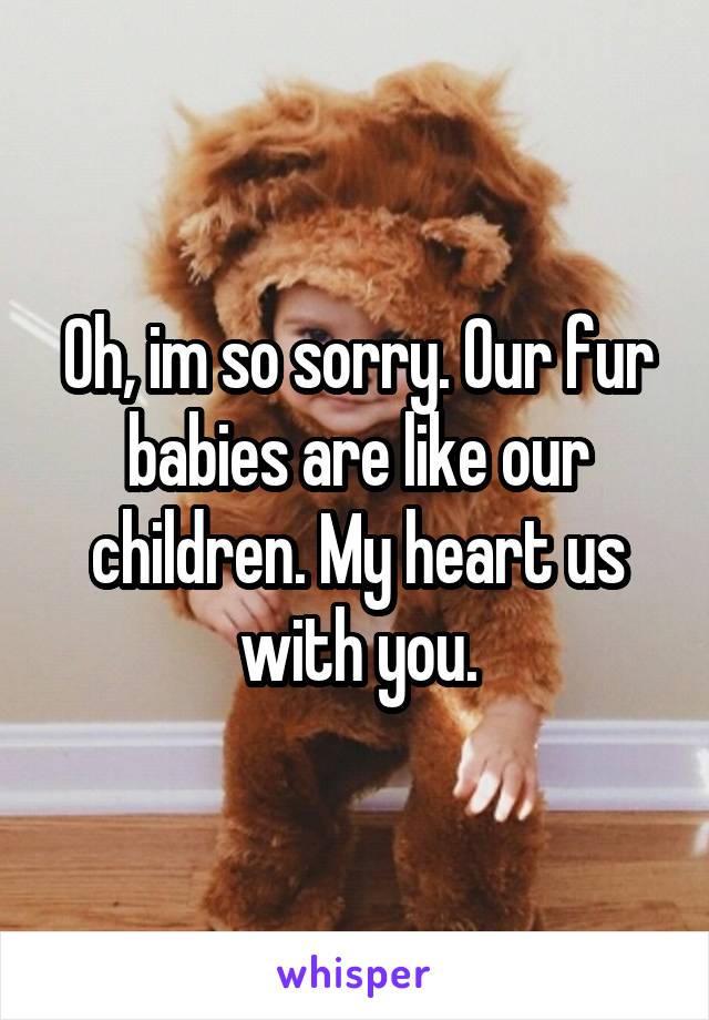 Oh, im so sorry. Our fur babies are like our children. My heart us with you.
