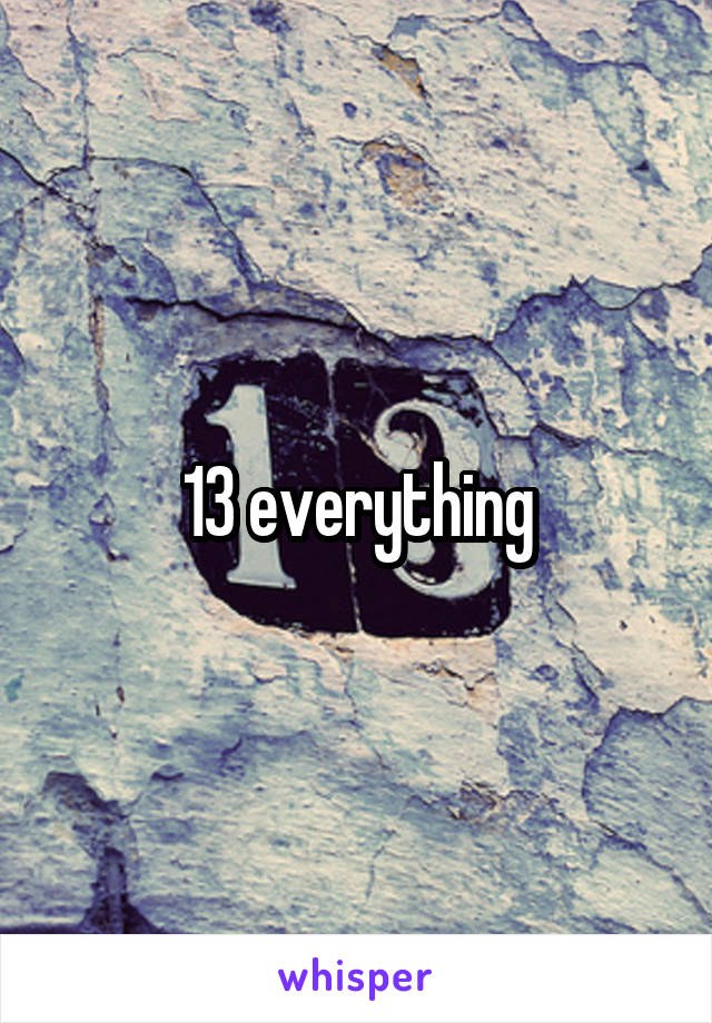 13 everything