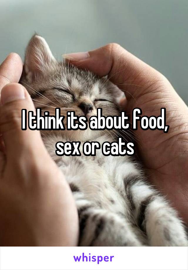 I think its about food, sex or cats