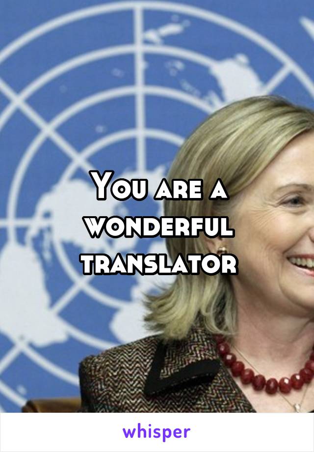 You are a wonderful translator