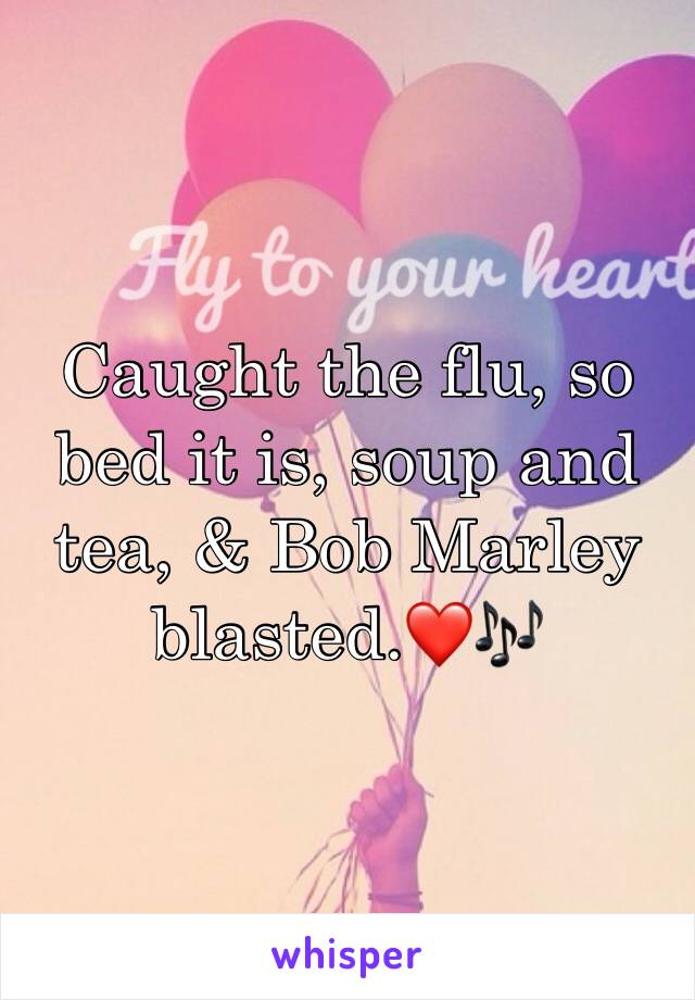 Caught the flu, so bed it is, soup and tea, & Bob Marley blasted.❤️🎶