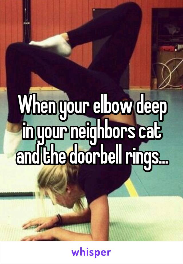 When your elbow deep in your neighbors cat and the doorbell rings...