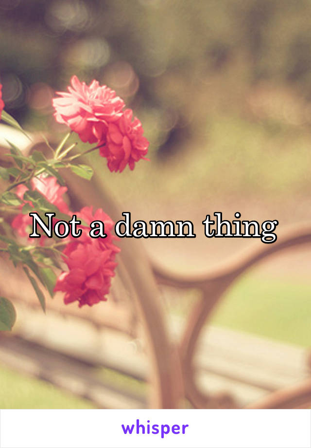 Not a damn thing 