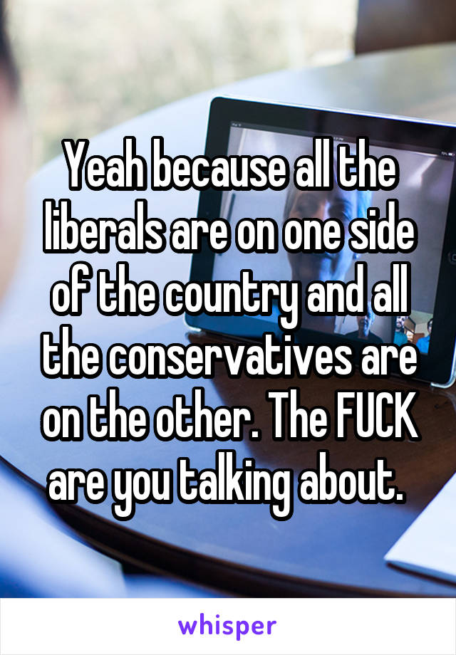 Yeah because all the liberals are on one side of the country and all the conservatives are on the other. The FUCK are you talking about. 