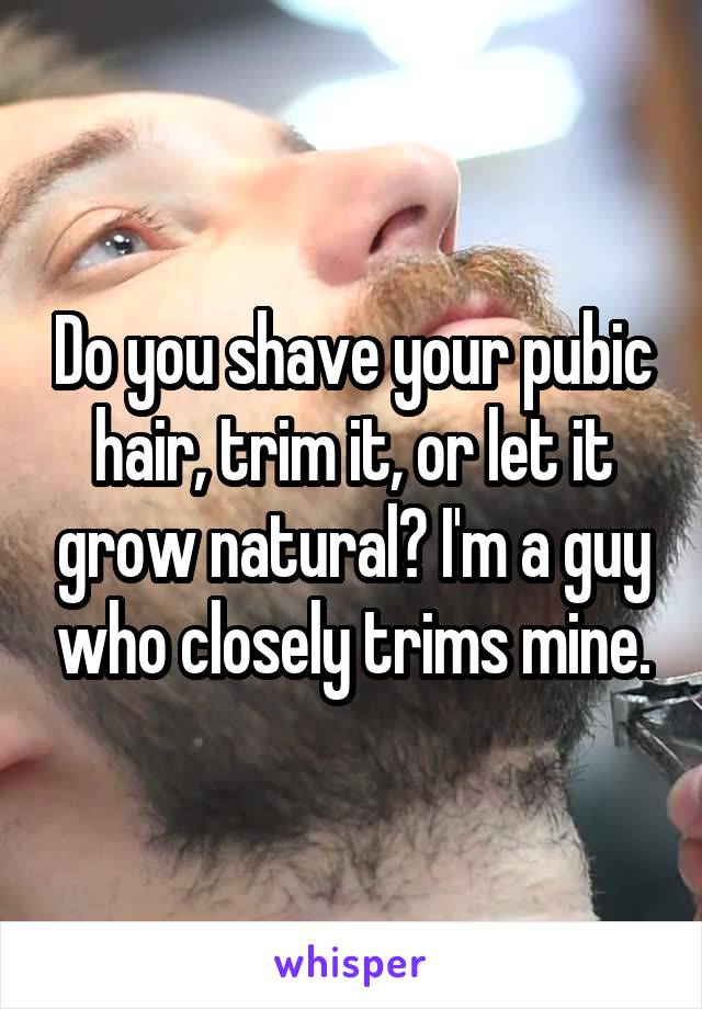 Do you shave your pubic hair, trim it, or let it grow natural? I'm a guy who closely trims mine.