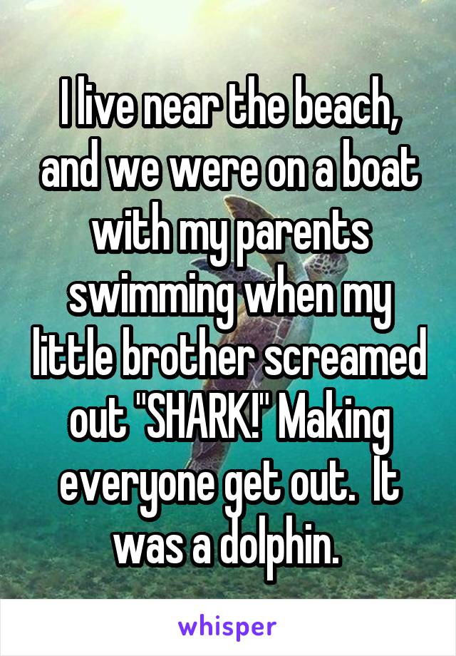 I live near the beach, and we were on a boat with my parents swimming when my little brother screamed out "SHARK!" Making everyone get out.  It was a dolphin. 