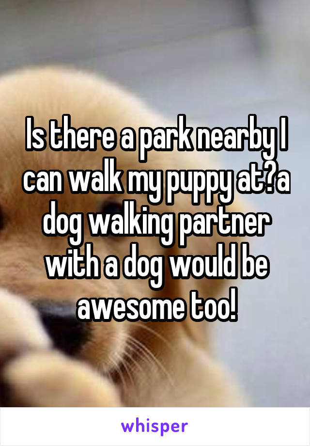 Is there a park nearby I can walk my puppy at?a dog walking partner with a dog would be awesome too!