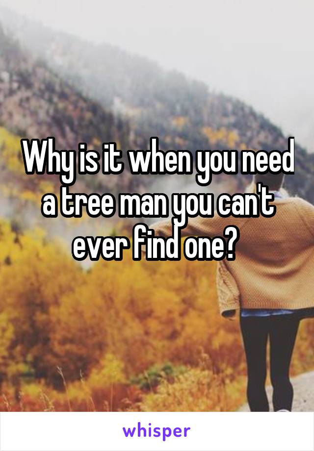 Why is it when you need a tree man you can't ever find one? 
