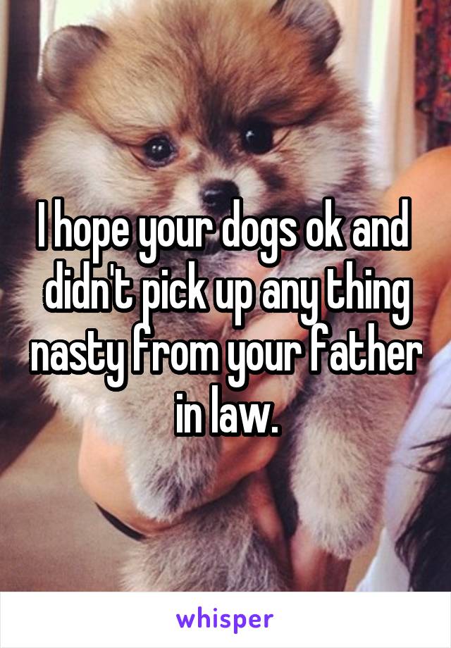 I hope your dogs ok and  didn't pick up any thing nasty from your father in law.