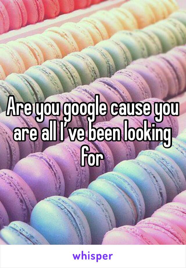 Are you google cause you are all I’ve been looking for 