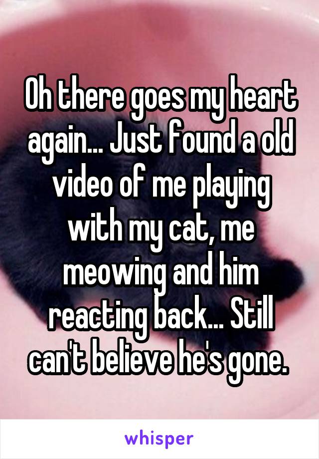Oh there goes my heart again... Just found a old video of me playing with my cat, me meowing and him reacting back... Still can't believe he's gone. 