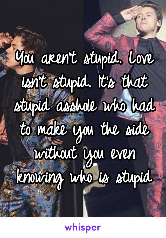 You aren't stupid. Love isn't stupid. It's that stupid asshole who had to make you the side without you even knowing who is stupid