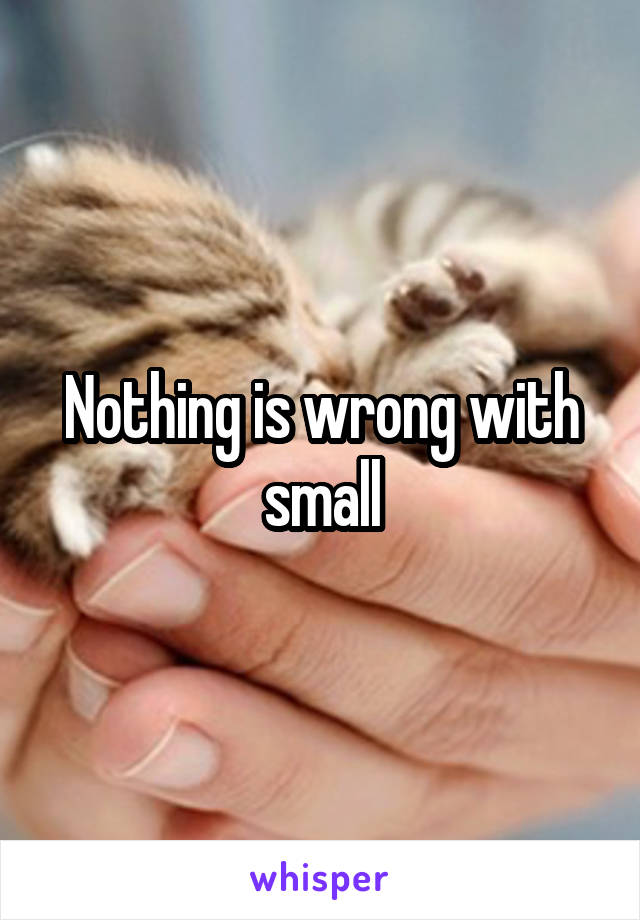 Nothing is wrong with small