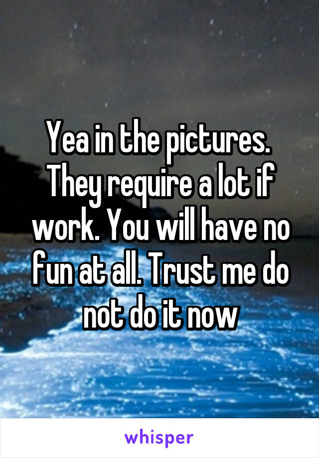 Yea in the pictures.  They require a lot if work. You will have no fun at all. Trust me do not do it now