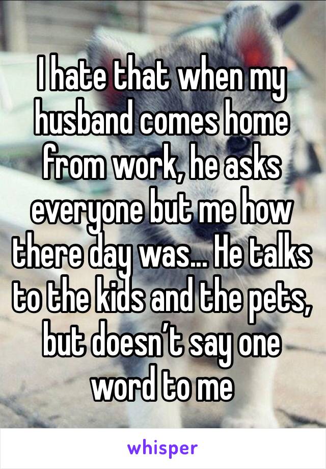 I hate that when my husband comes home from work, he asks everyone but me how there day was... He talks to the kids and the pets, but doesn’t say one word to me
