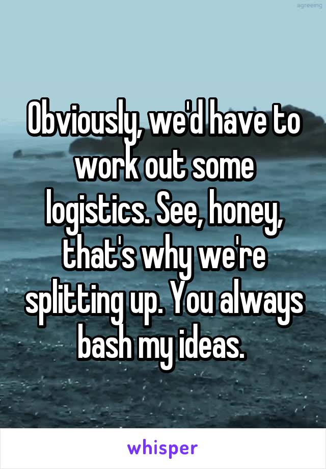 Obviously, we'd have to work out some logistics. See, honey, that's why we're splitting up. You always bash my ideas. 
