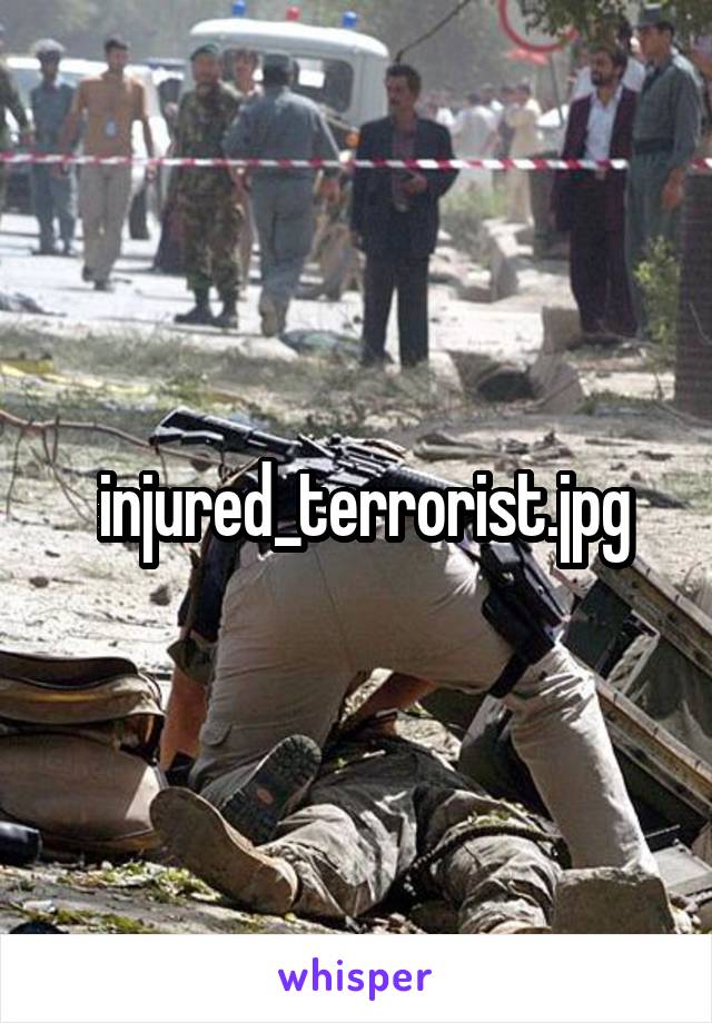  injured_terrorist.jpg