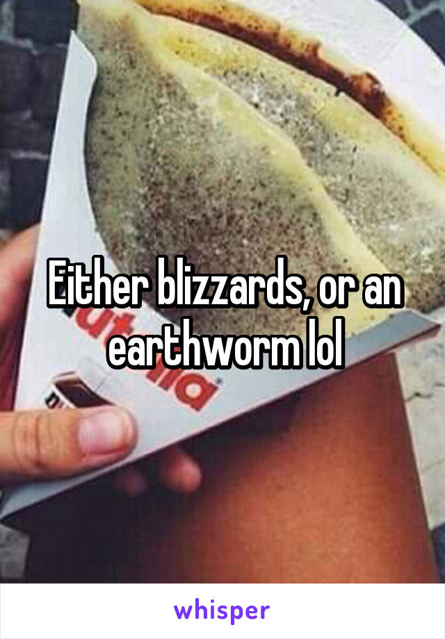 Either blizzards, or an earthworm lol