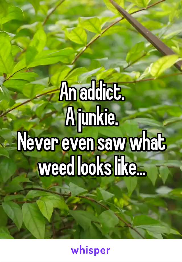An addict.
A junkie.
Never even saw what weed looks like...