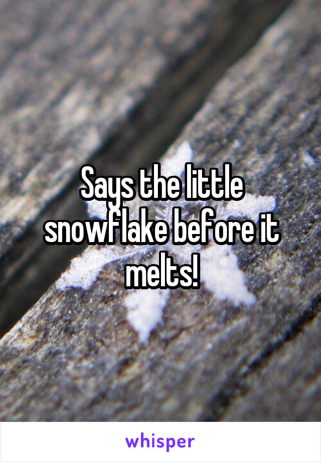 Says the little snowflake before it melts!
