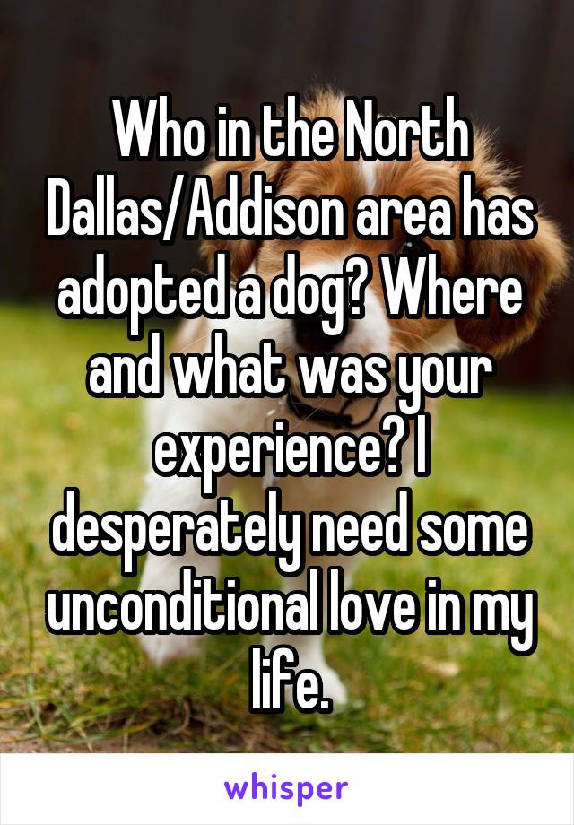 Who in the North Dallas/Addison area has adopted a dog? Where and what was your experience? I desperately need some unconditional love in my life.