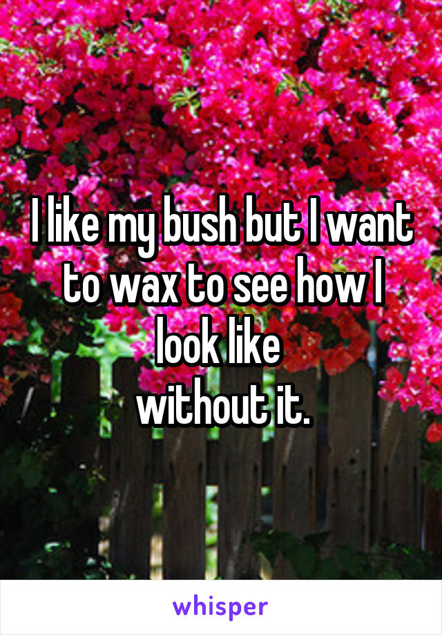 I like my bush but I want to wax to see how I look like 
without it.