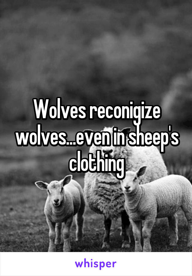 Wolves reconigize wolves...even in sheep's clothing