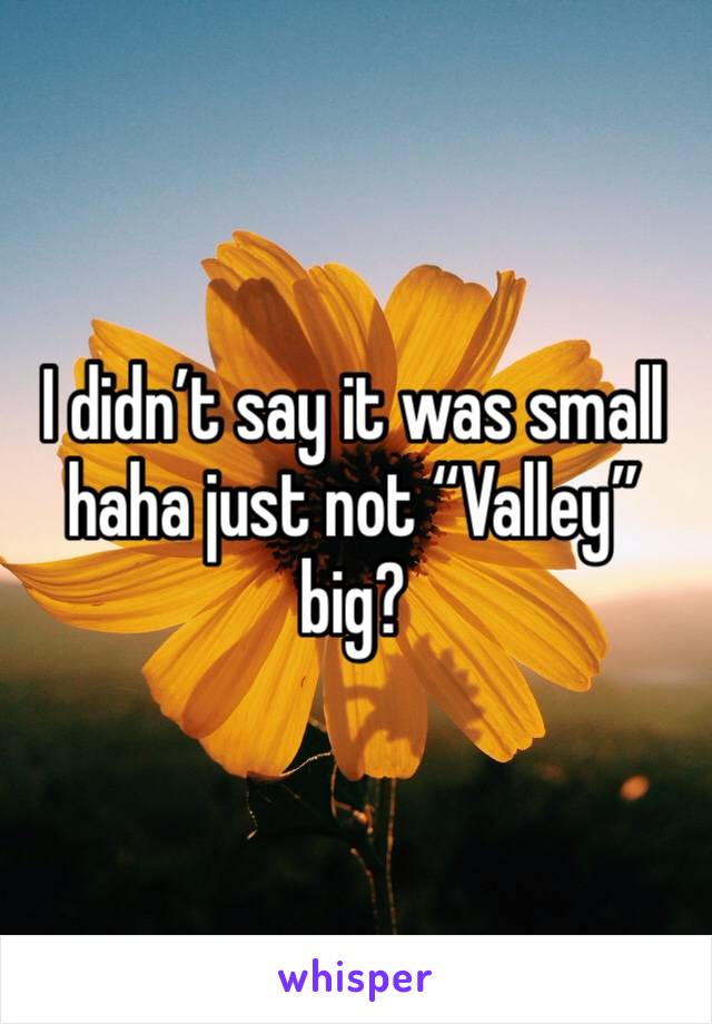 I didn’t say it was small haha just not “Valley” big? 
