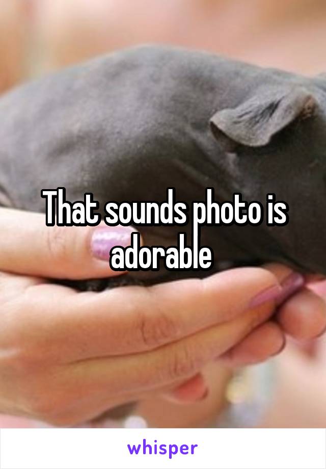 That sounds photo is adorable 