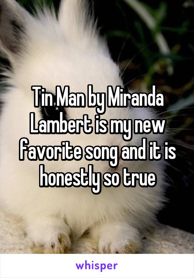 Tin Man by Miranda Lambert is my new favorite song and it is honestly so true