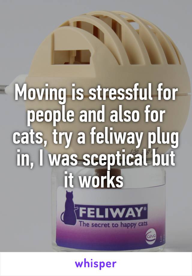 Moving is stressful for people and also for cats, try a feliway plug in, I was sceptical but it works 