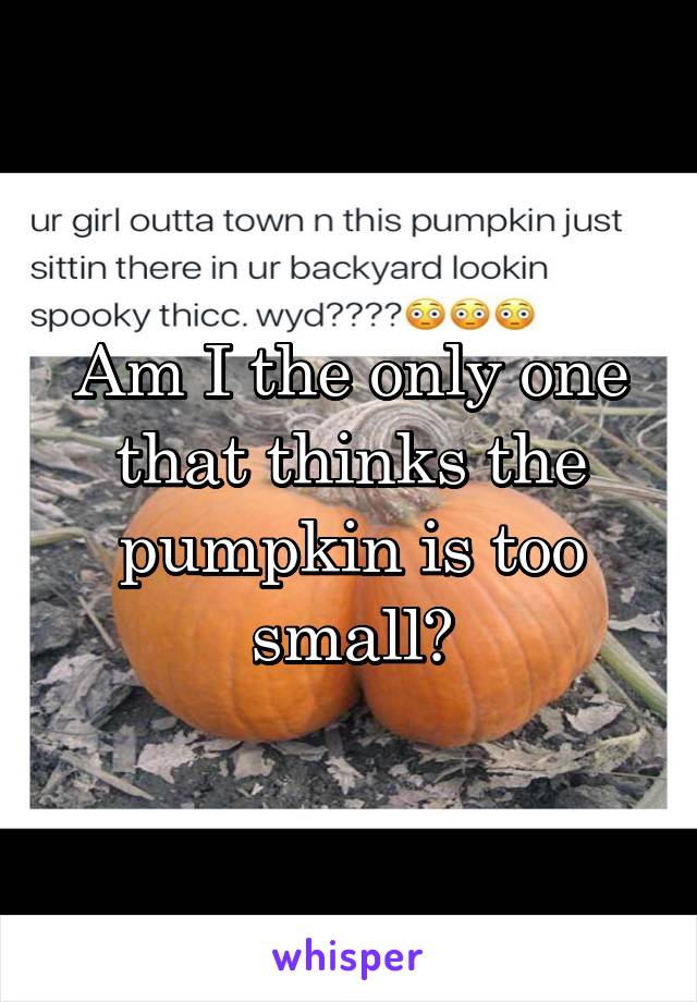 Am I the only one that thinks the pumpkin is too small?