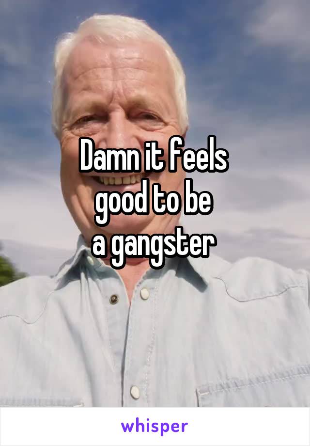 Damn it feels 
good to be 
a gangster 
