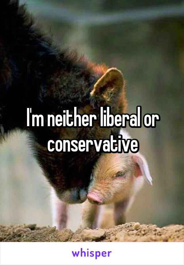 I'm neither liberal or conservative