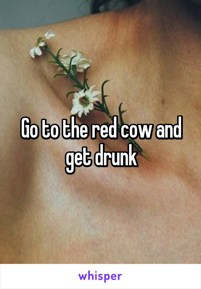 Go to the red cow and get drunk